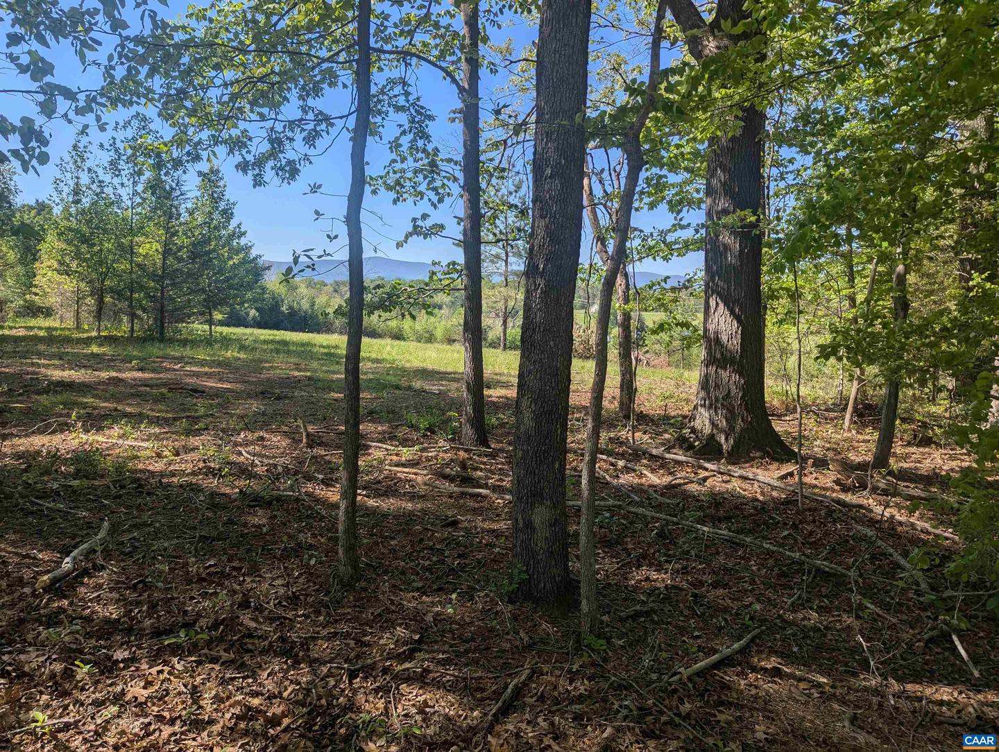 4 ADVANCE MILLS RD, RUCKERSVILLE, Virginia 22968, ,Land,For sale,4 ADVANCE MILLS RD,664394 MLS # 664394