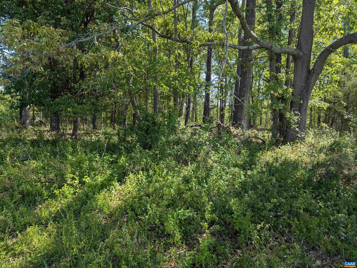 4 ADVANCE MILLS RD, RUCKERSVILLE, Virginia 22968, ,Land,For sale,4 ADVANCE MILLS RD,664394 MLS # 664394