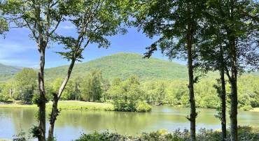23 BARN OWL LN, NELLYSFORD, Virginia 22958, ,Land,For sale,23 BARN OWL LN,664397 MLS # 664397