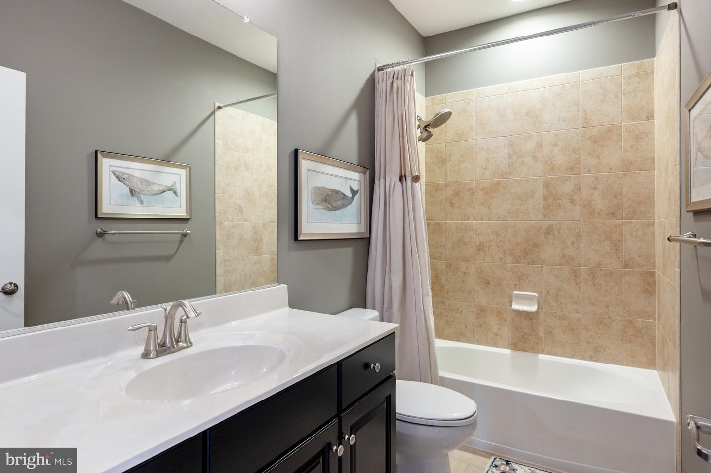 176 VERBENA DR, STAFFORD, Virginia 22554, 4 Bedrooms Bedrooms, ,4 BathroomsBathrooms,Residential,For sale,176 VERBENA DR,VAST2038708 MLS # VAST2038708