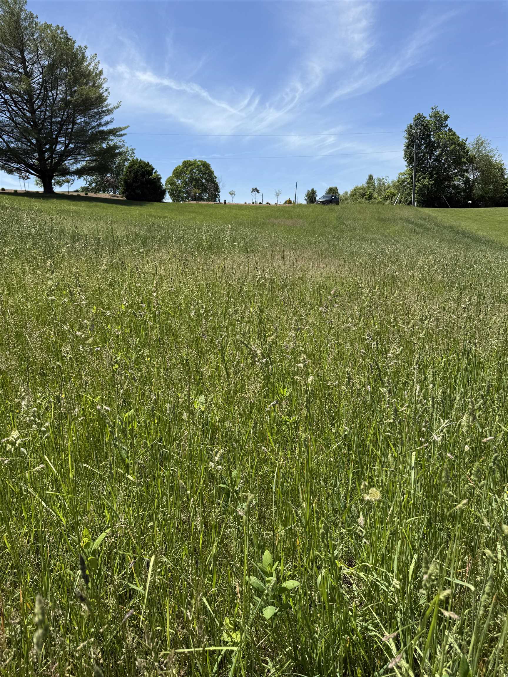 TBD EARHART LN, VERONA, Virginia 24482, ,Land,36-95N Verona E RT 11 on RT 1915 PAR 1 3.19 acres,TBD EARHART LN,664398 MLS # 664398