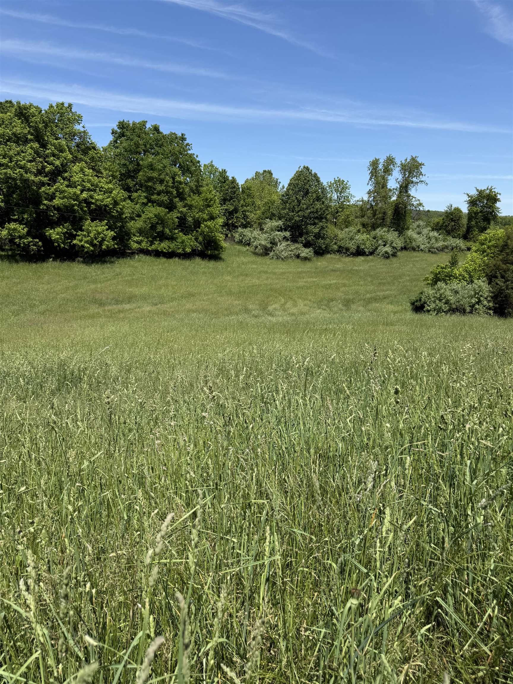 TBD EARHART LN, VERONA, Virginia 24482, ,Land,36-95N Verona E RT 11 on RT 1915 PAR 1 3.19 acres,TBD EARHART LN,664398 MLS # 664398
