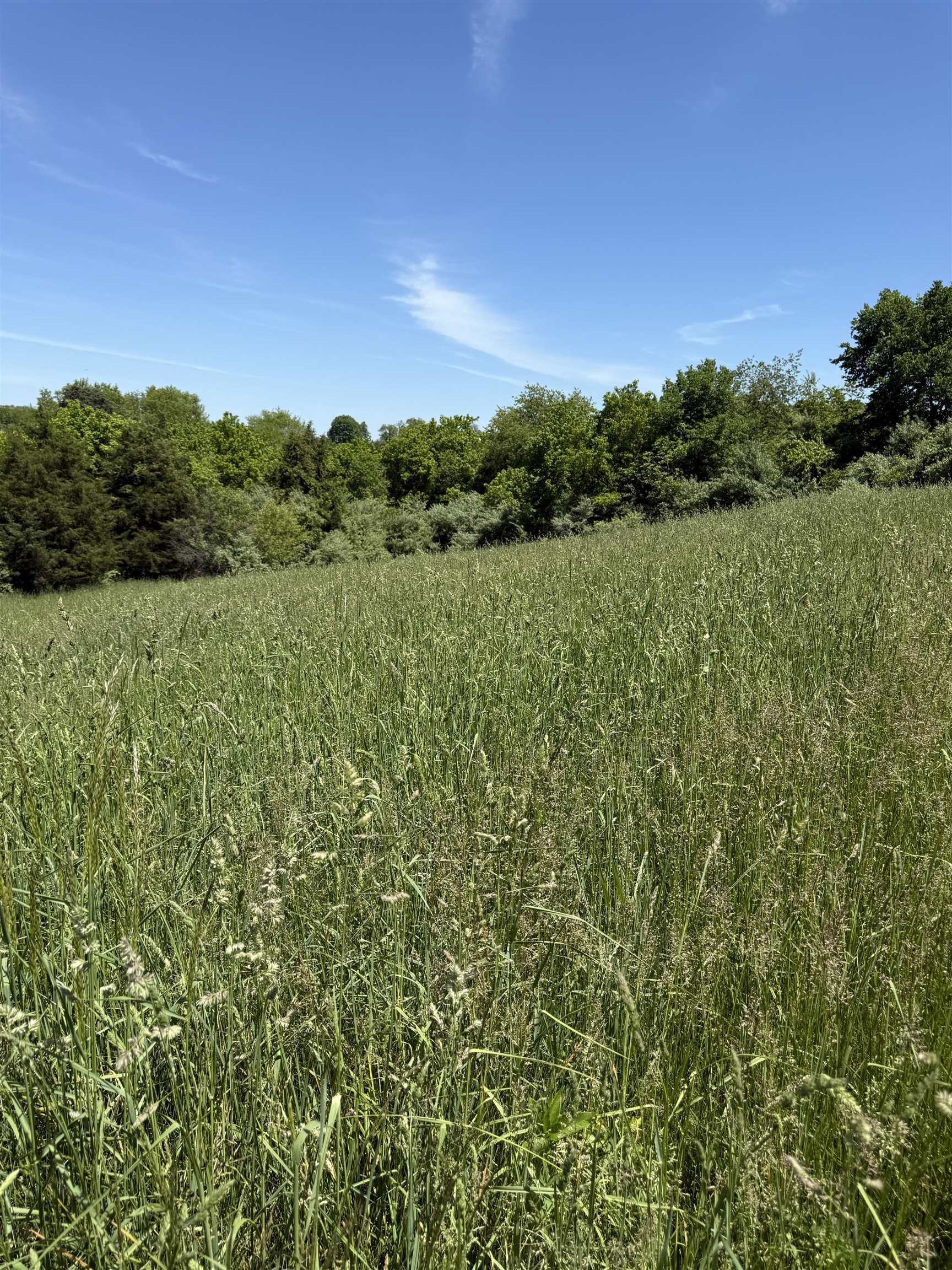 TBD EARHART LN, VERONA, Virginia 24482, ,Land,36-95N Verona E RT 11 on RT 1915 PAR 1 3.19 acres,TBD EARHART LN,664398 MLS # 664398