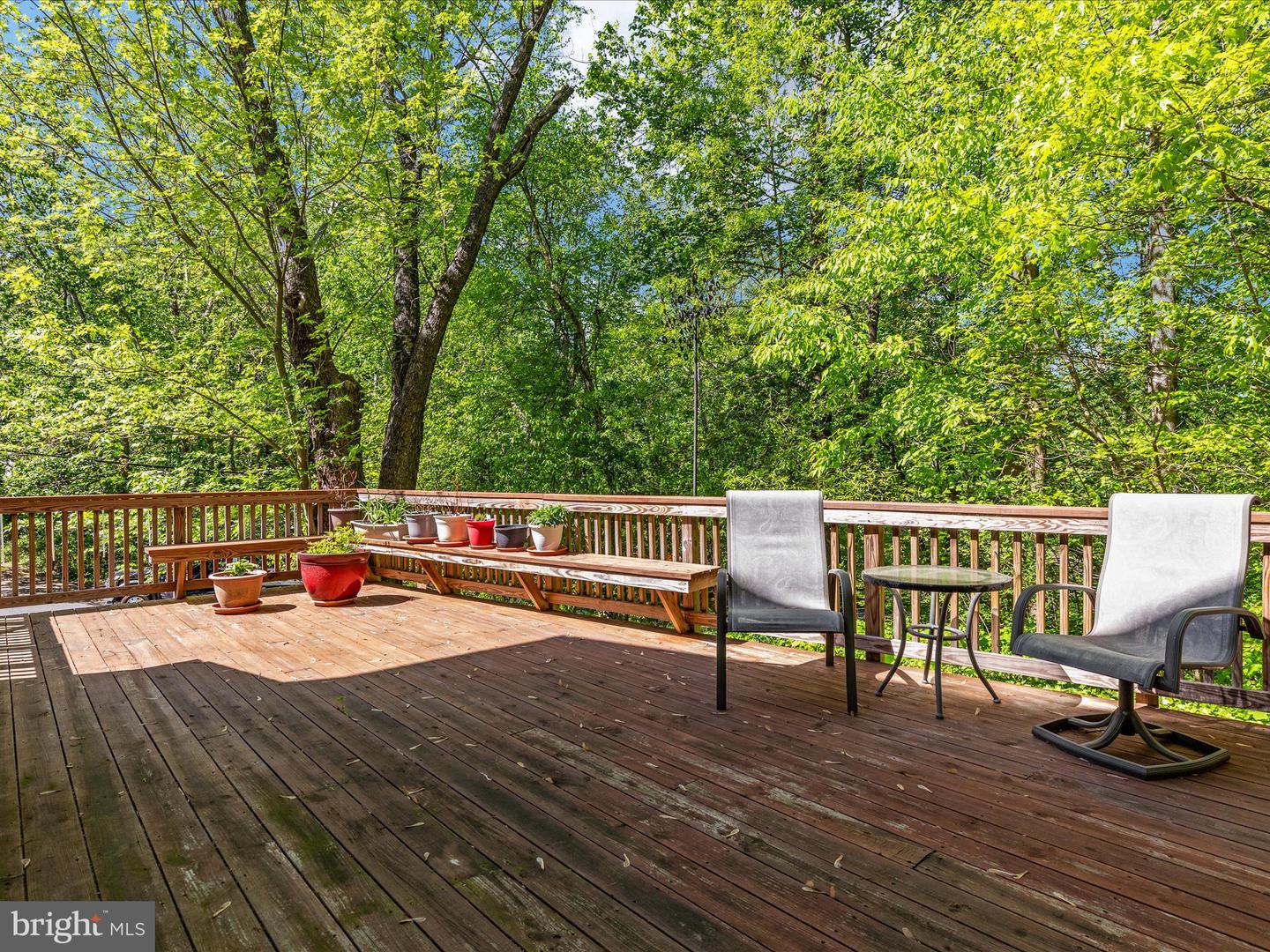1519 N CHAMBLISS ST, ALEXANDRIA, Virginia 22312, 5 Bedrooms Bedrooms, ,3 BathroomsBathrooms,Residential,For sale,1519 N CHAMBLISS ST,VAAX2043804 MLS # VAAX2043804