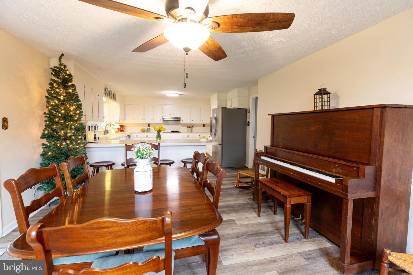 15 PAINTER ST, LURAY, Virginia 22835, 5 Bedrooms Bedrooms, ,2 BathroomsBathrooms,Residential,For sale,15 PAINTER ST,VAPA2004784 MLS # VAPA2004784