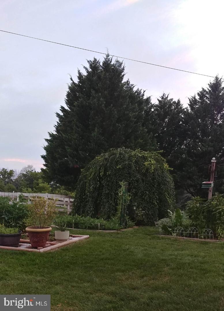 3492 JAMES MADISON HWY, HAYMARKET, Virginia 20169, 2 Bedrooms Bedrooms, ,2 BathroomsBathrooms,Residential,For sale,3492 JAMES MADISON HWY,VAPW2092430 MLS # VAPW2092430