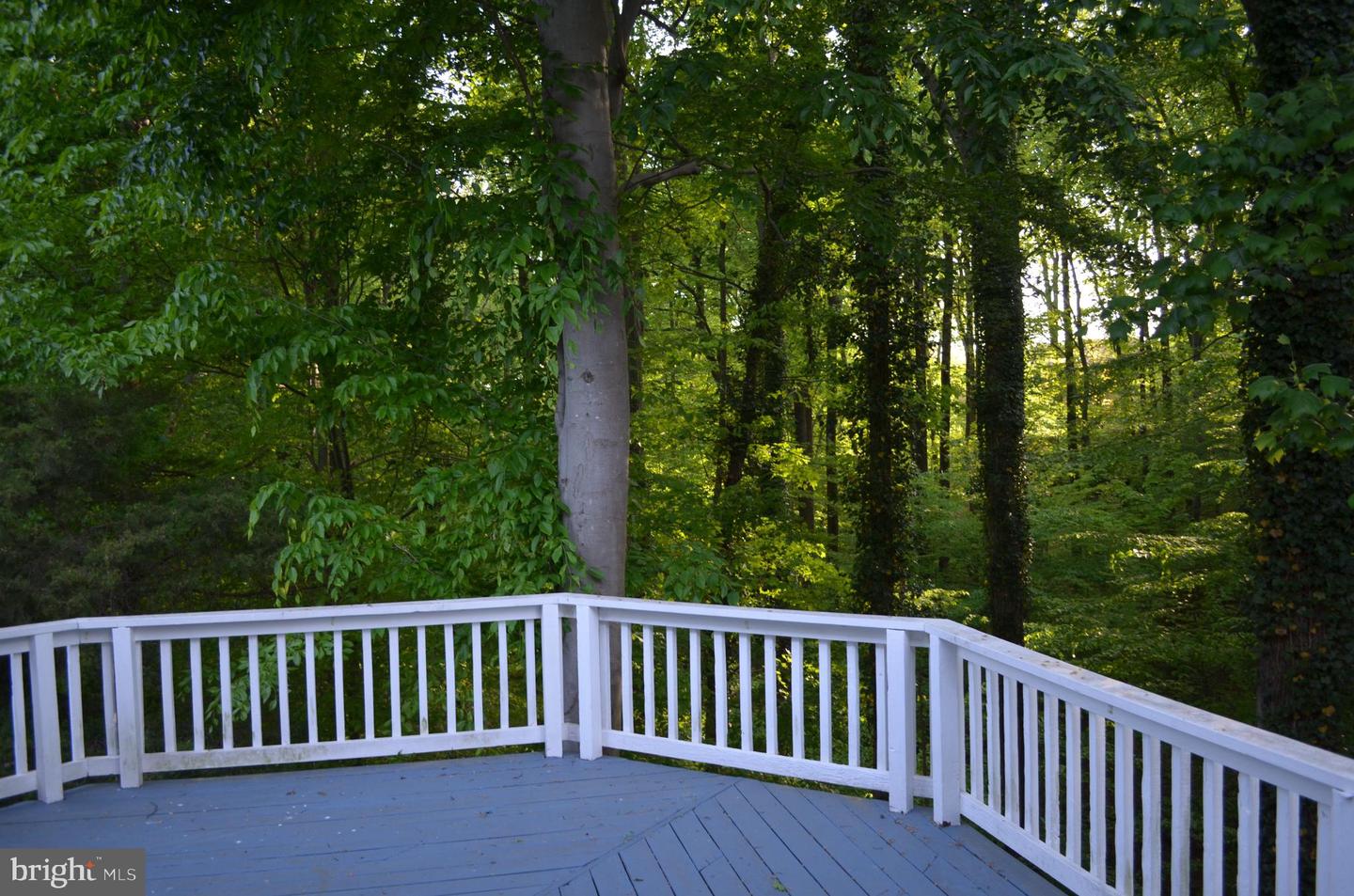 5849 COLFAX AVE, ALEXANDRIA, Virginia 22311, 5 Bedrooms Bedrooms, ,3 BathroomsBathrooms,Residential,For sale,5849 COLFAX AVE,VAFX2237812 MLS # VAFX2237812