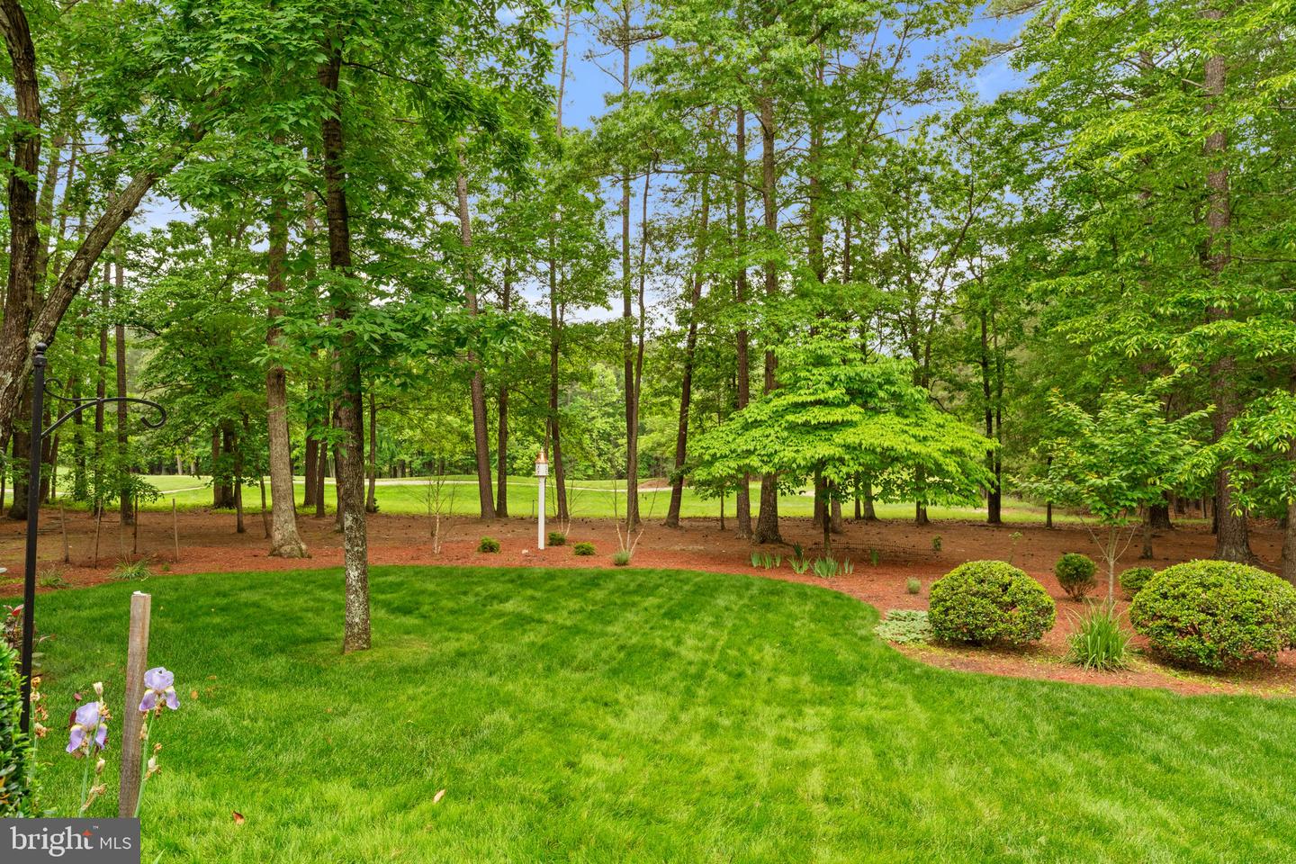 11608 STONEWALL JACKSON DR, SPOTSYLVANIA, Virginia 22551, 4 Bedrooms Bedrooms, 19 Rooms Rooms,4 BathroomsBathrooms,Residential,For sale,11608 STONEWALL JACKSON DR,VASP2032830 MLS # VASP2032830