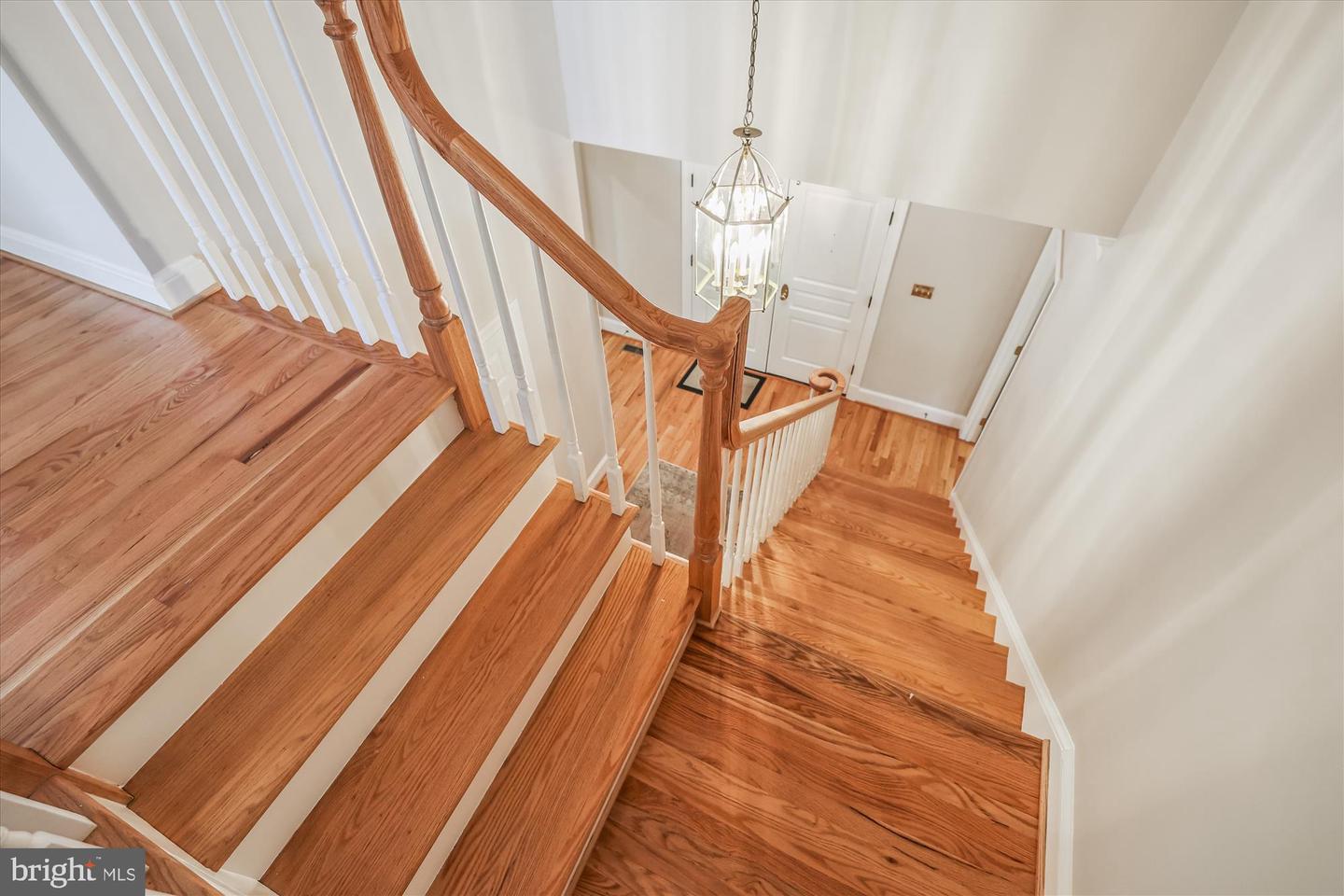 2929 EDDINGTON TER, ALEXANDRIA, Virginia 22302, 4 Bedrooms Bedrooms, ,3 BathroomsBathrooms,Residential,For sale,2929 EDDINGTON TER,VAAX2044916 MLS # VAAX2044916