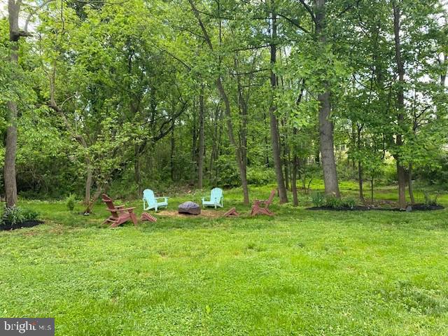515 MOUNT SALEM AVE, WASHINGTON, Virginia 22747, 4 Bedrooms Bedrooms, ,2 BathroomsBathrooms,Residential,For sale,515 MOUNT SALEM AVE,VARP2002070 MLS # VARP2002070