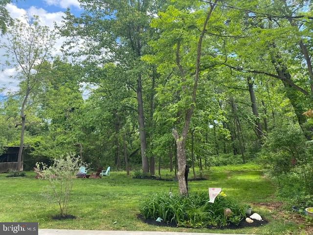 515 MOUNT SALEM AVE, WASHINGTON, Virginia 22747, 4 Bedrooms Bedrooms, ,2 BathroomsBathrooms,Residential,For sale,515 MOUNT SALEM AVE,VARP2002070 MLS # VARP2002070