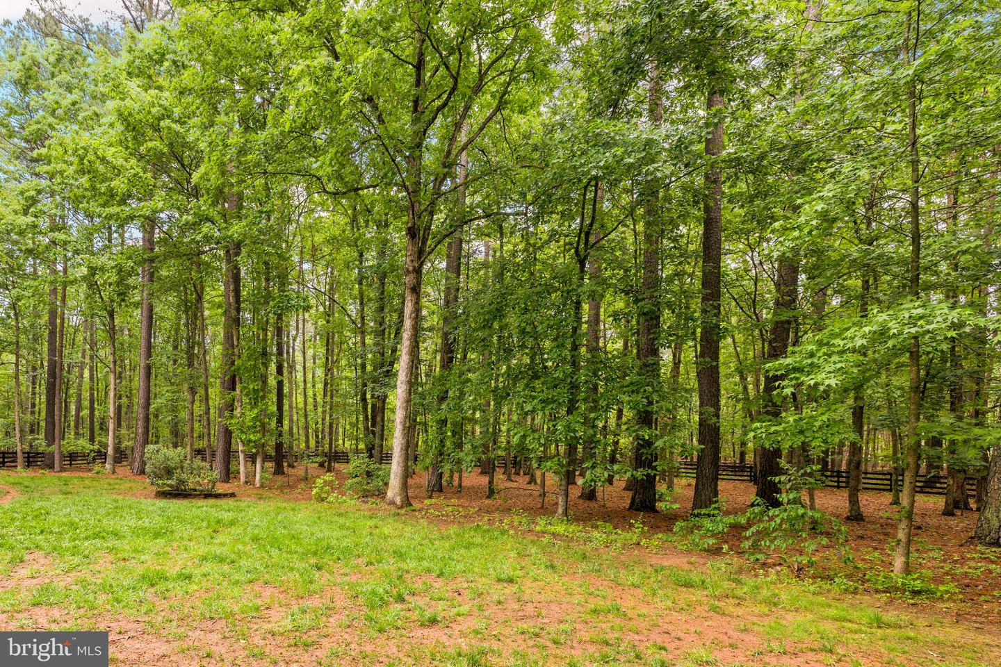 11000 FARMVIEW WAY, SPOTSYLVANIA, Virginia 22551, 4 Bedrooms Bedrooms, ,2 BathroomsBathrooms,Residential,For sale,11000 FARMVIEW WAY,VASP2032914 MLS # VASP2032914