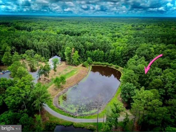 11506 LIGHT LN, SPOTSYLVANIA, Virginia 22551, 4 Bedrooms Bedrooms, ,3 BathroomsBathrooms,Residential,For sale,11506 LIGHT LN,VASP2033034 MLS # VASP2033034