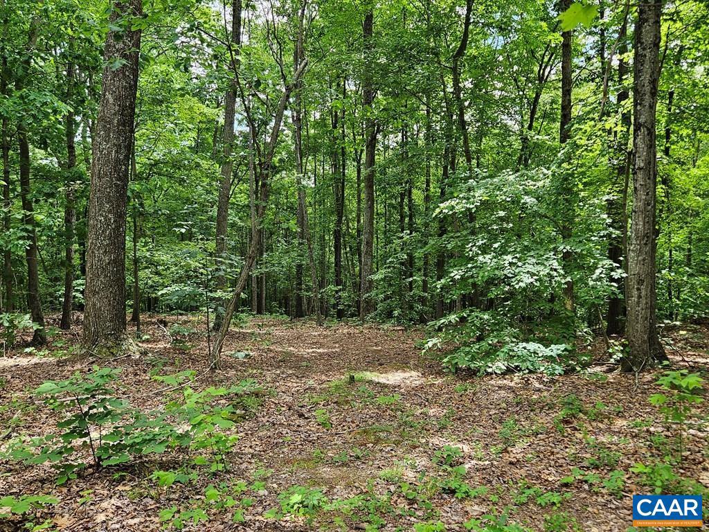 419 CAMDEN ST, DILLWYN, Virginia 23936, 3 Bedrooms Bedrooms, ,1 BathroomBathrooms,Residential,For sale,419 CAMDEN ST,664403 MLS # 664403