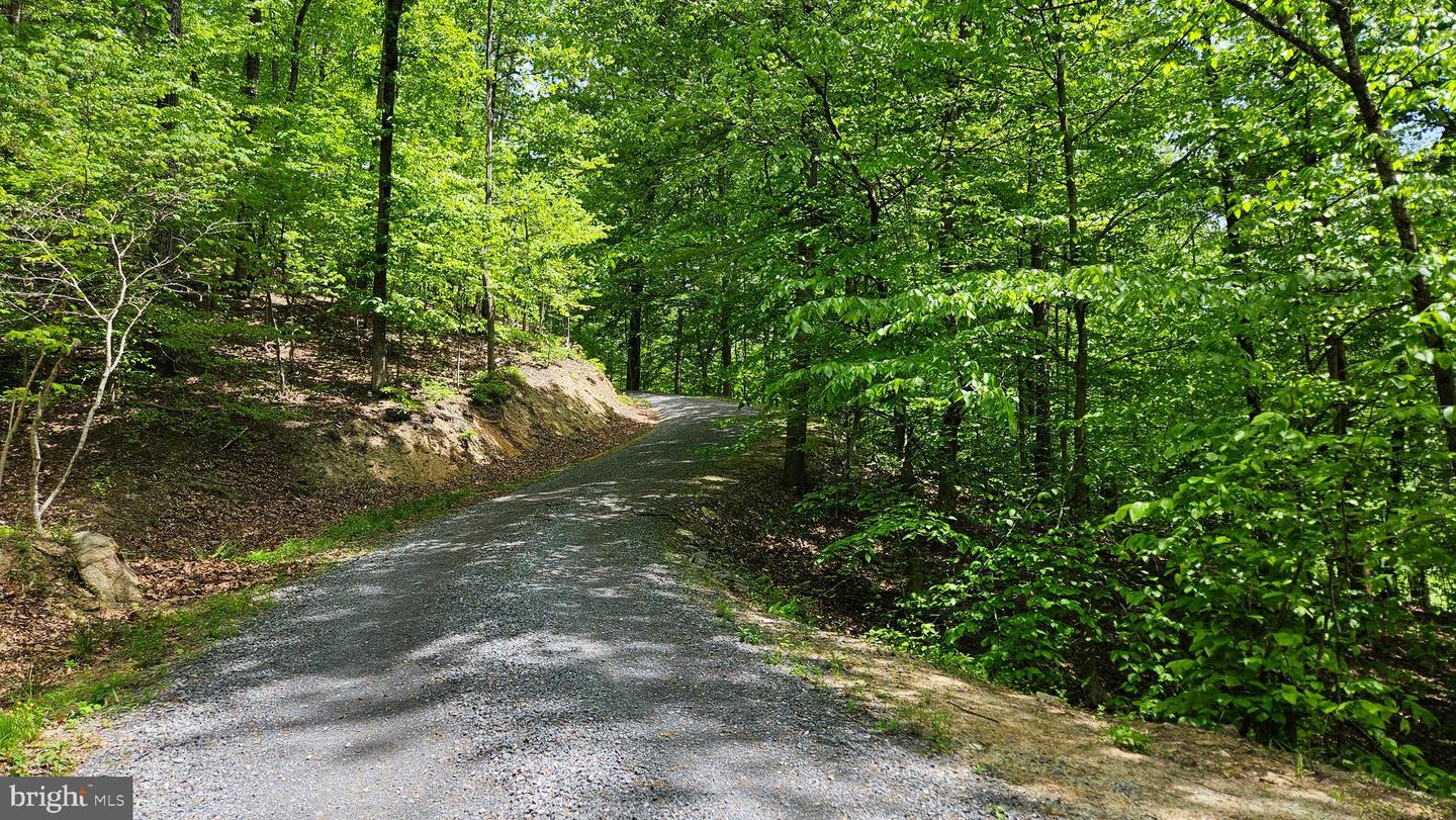 559 BESSIE BELL MOUNTAIN RD, CASTLETON, Virginia 22716, 3 Bedrooms Bedrooms, ,2 BathroomsBathrooms,Residential,For sale,559 BESSIE BELL MOUNTAIN RD,VARP2002080 MLS # VARP2002080