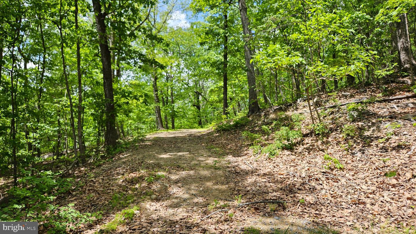 559 BESSIE BELL MOUNTAIN RD, CASTLETON, Virginia 22716, 3 Bedrooms Bedrooms, ,2 BathroomsBathrooms,Residential,For sale,559 BESSIE BELL MOUNTAIN RD,VARP2002080 MLS # VARP2002080