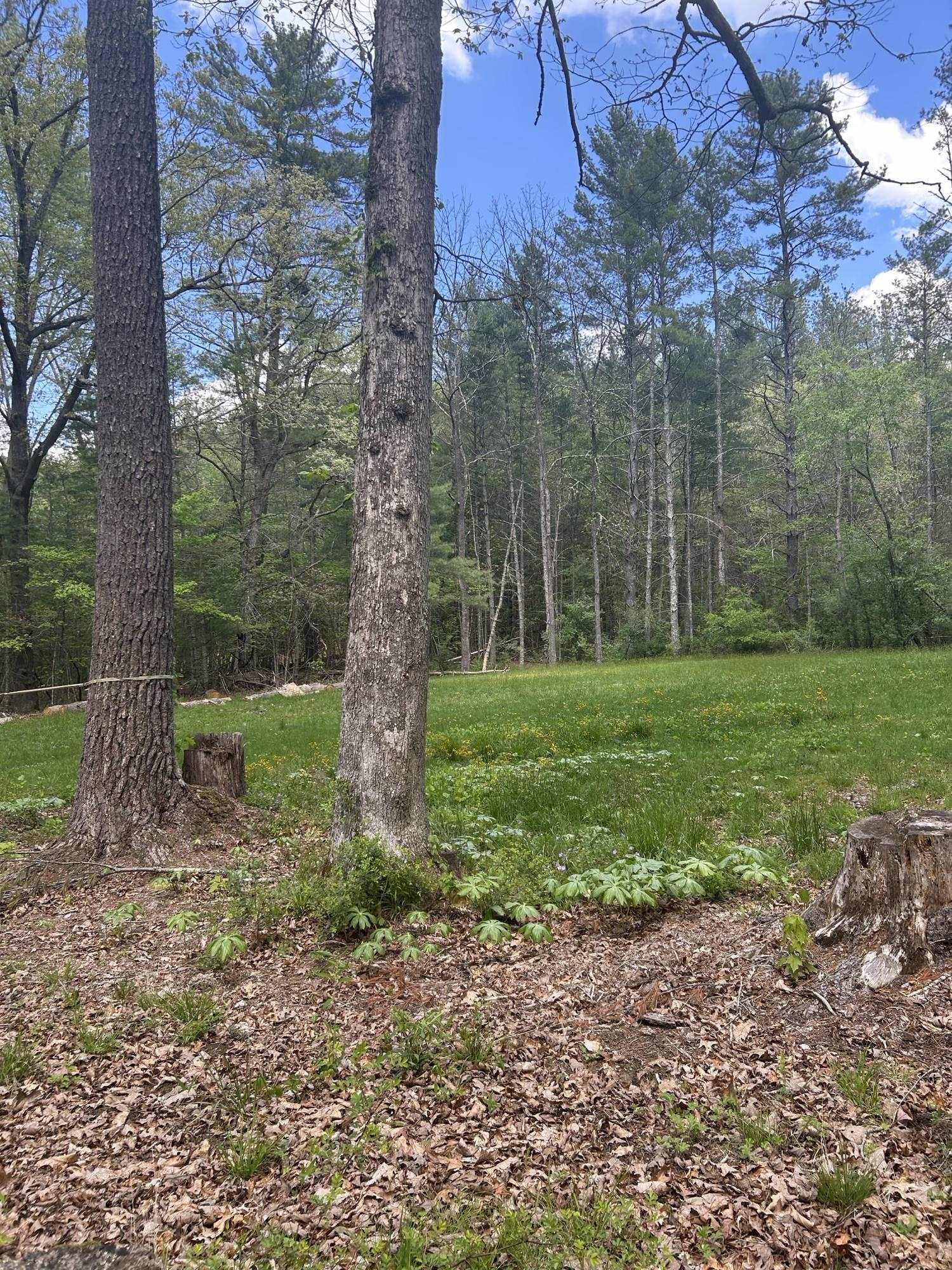 847 BEAR WALLOW FLAT LN, DEERFIELD, Virginia 24431, 2 Bedrooms Bedrooms, ,1 BathroomBathrooms,Residential,847 BEAR WALLOW FLAT LN,664417 MLS # 664417