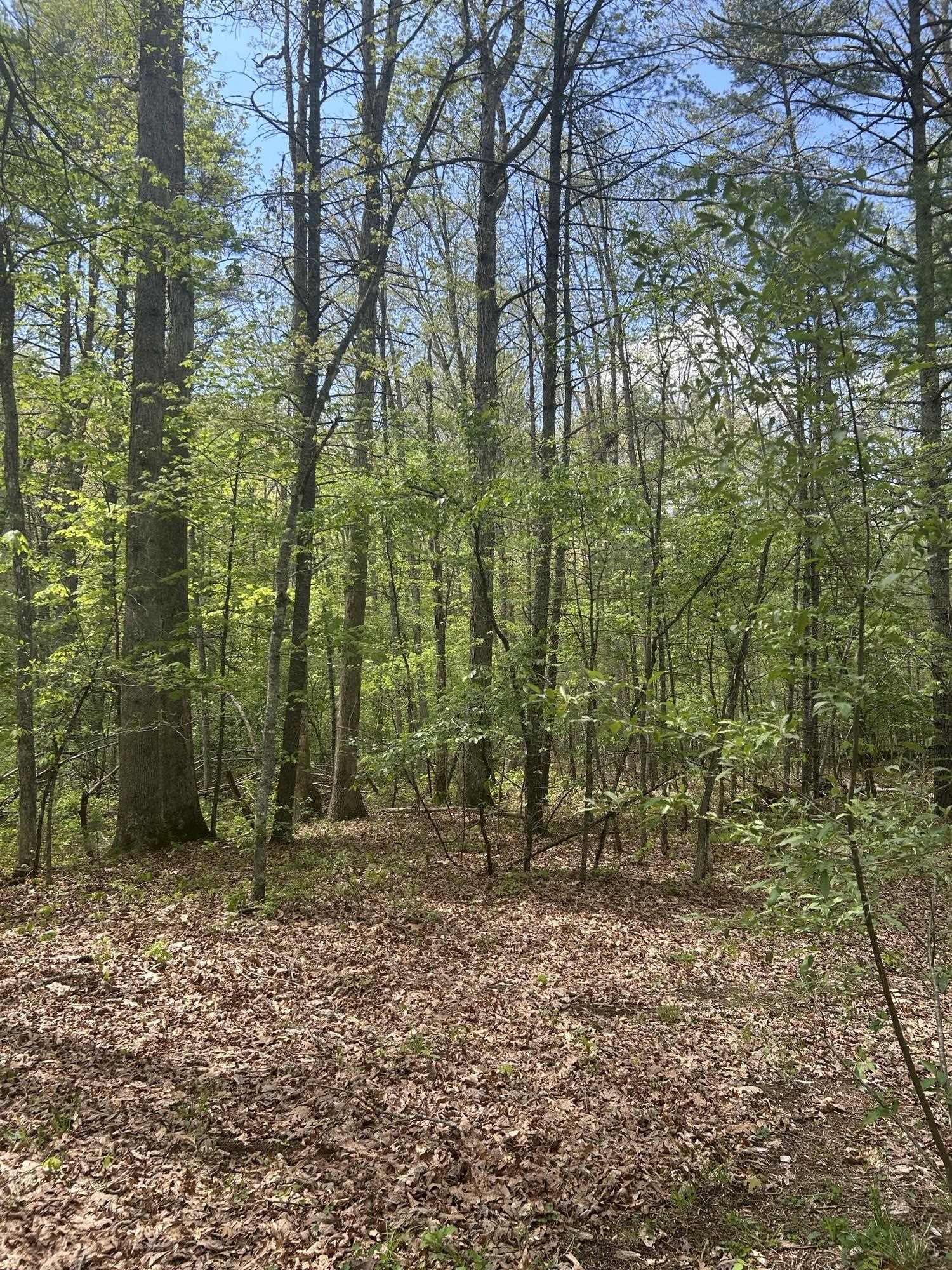 847 BEAR WALLOW FLAT LN, DEERFIELD, Virginia 24431, 2 Bedrooms Bedrooms, ,1 BathroomBathrooms,Residential,847 BEAR WALLOW FLAT LN,664417 MLS # 664417