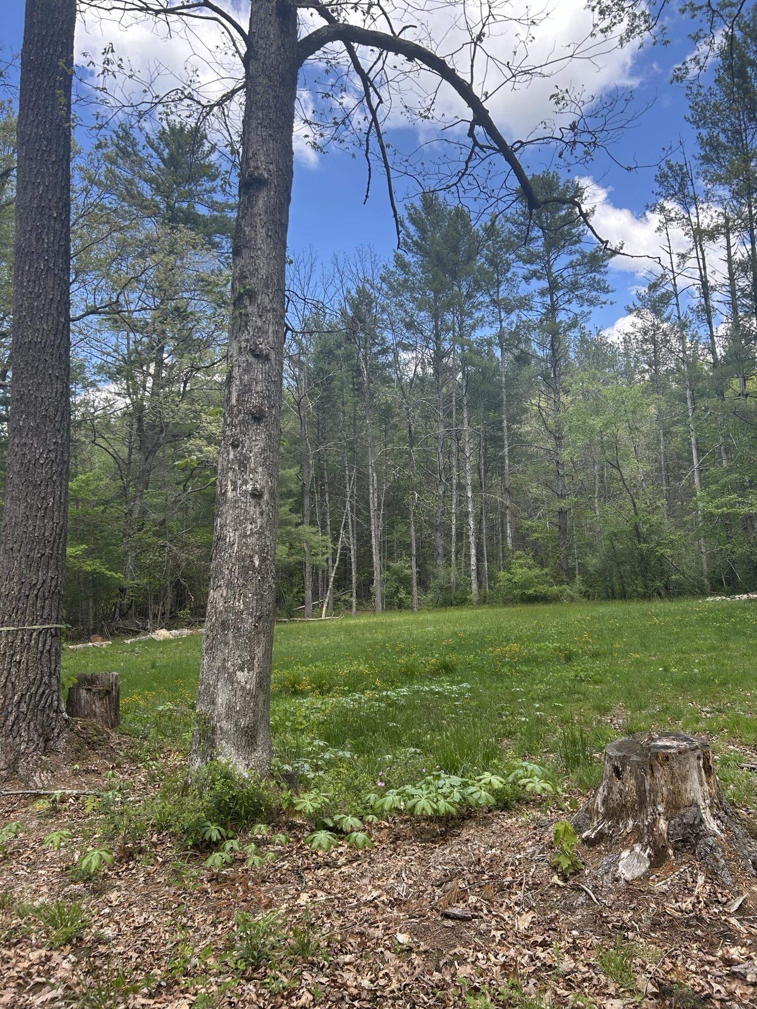 847 BEAR WALLOW FLAT LN, DEERFIELD, Virginia 24431, 2 Bedrooms Bedrooms, ,1 BathroomBathrooms,Residential,847 BEAR WALLOW FLAT LN,664417 MLS # 664417