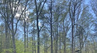 847 BEAR WALLOW FLAT LN, DEERFIELD, Virginia 24431, 2 Bedrooms Bedrooms, ,1 BathroomBathrooms,Residential,847 BEAR WALLOW FLAT LN,664417 MLS # 664417