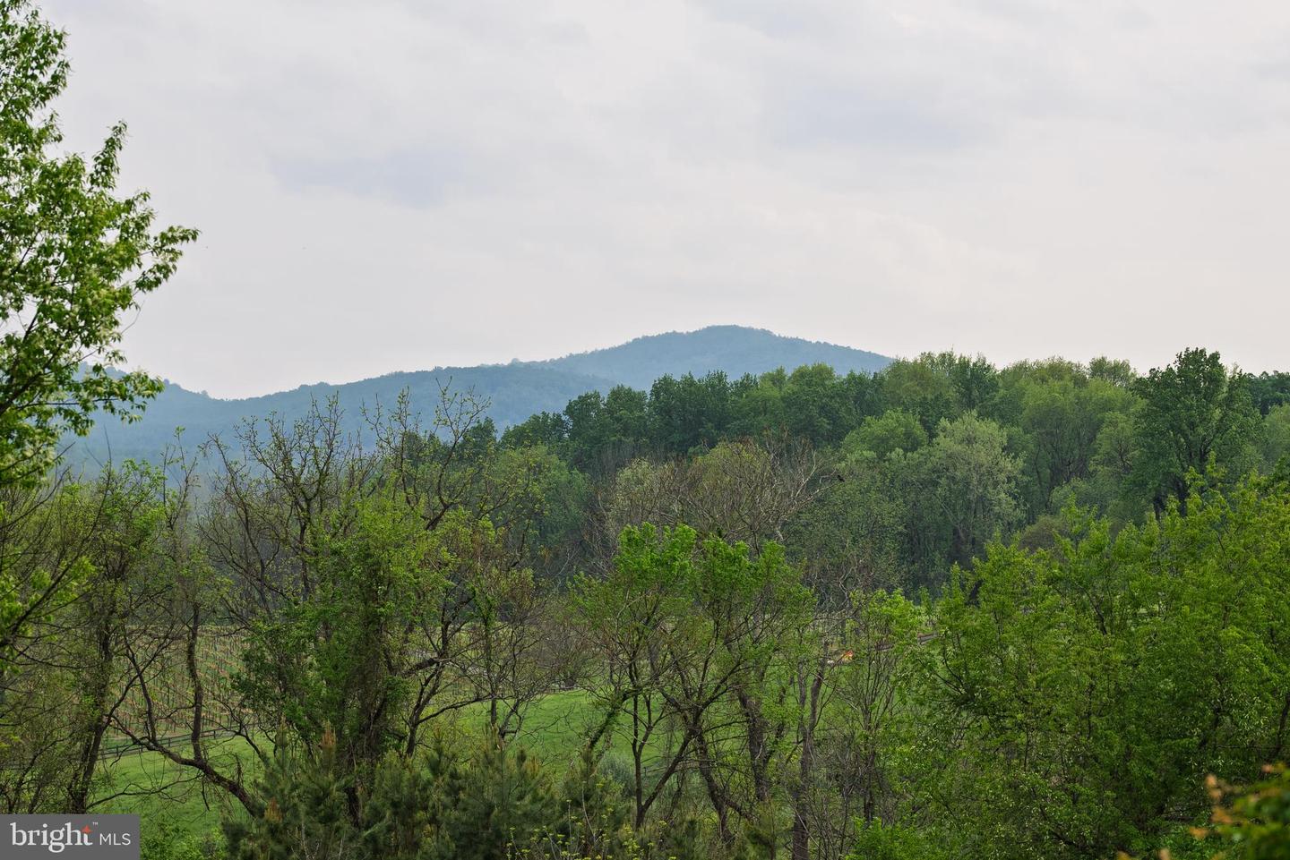 38793 CHELTEN LN, MIDDLEBURG, Virginia 20117, 5 Bedrooms Bedrooms, ,8 BathroomsBathrooms,Residential,For sale,38793 CHELTEN LN,VALO2094274 MLS # VALO2094274