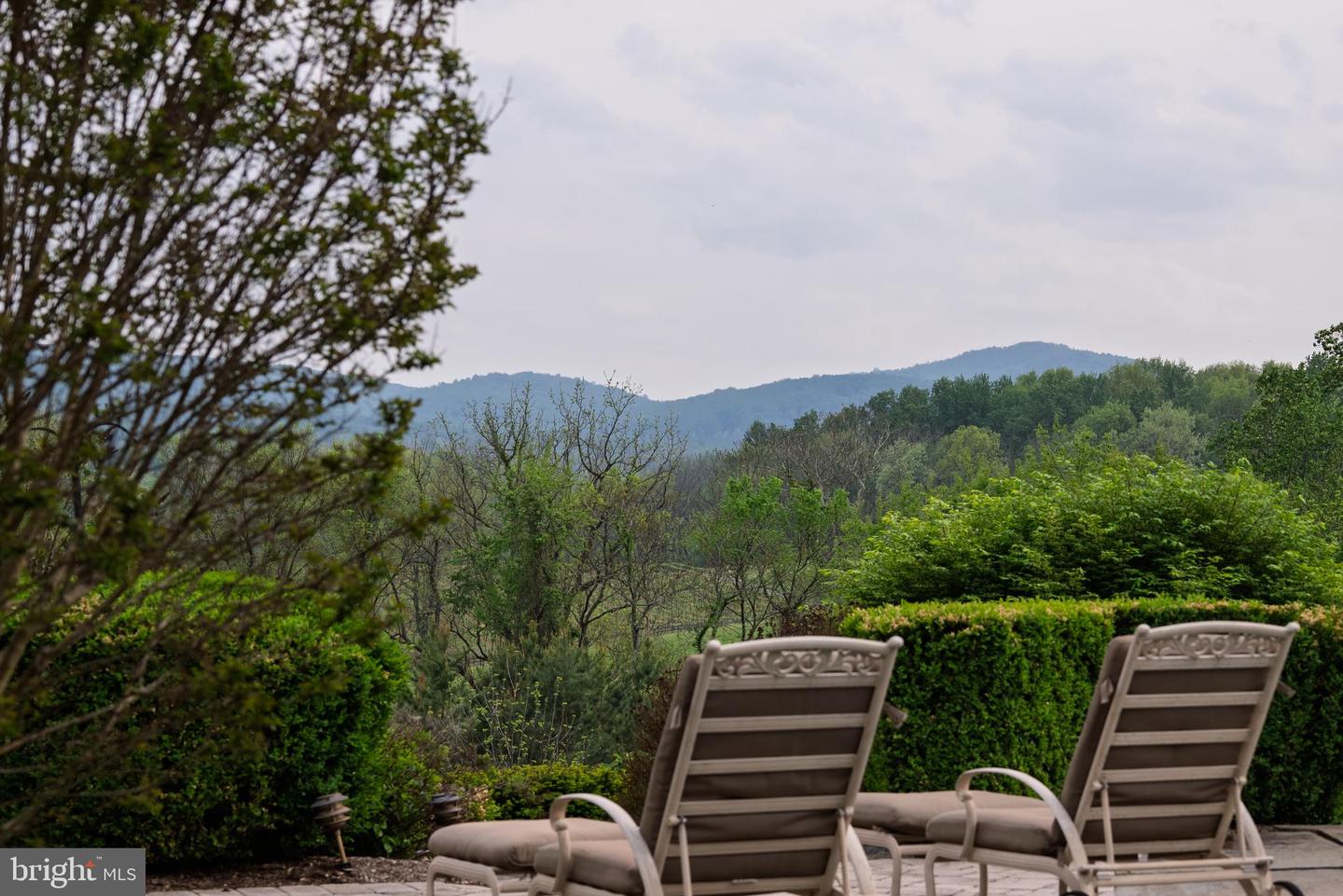 38793 CHELTEN LN, MIDDLEBURG, Virginia 20117, 5 Bedrooms Bedrooms, ,8 BathroomsBathrooms,Residential,For sale,38793 CHELTEN LN,VALO2094274 MLS # VALO2094274