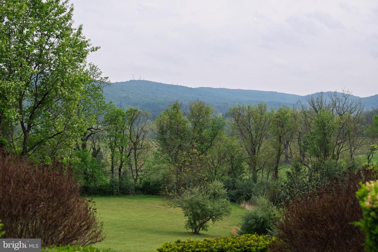 38793 CHELTEN LN, MIDDLEBURG, Virginia 20117, 5 Bedrooms Bedrooms, ,8 BathroomsBathrooms,Residential,For sale,38793 CHELTEN LN,VALO2094274 MLS # VALO2094274
