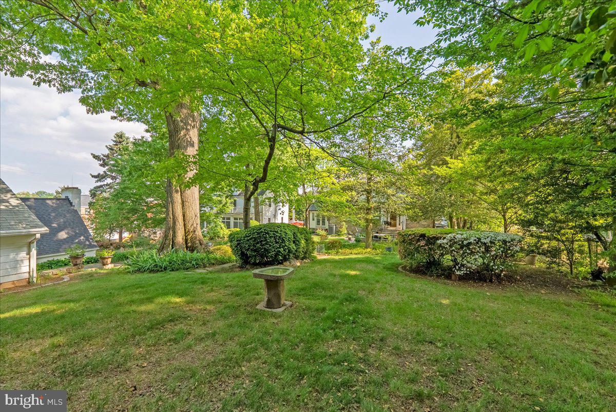 6223 LANGSTON BLVD, ARLINGTON, Virginia 22205, 3 Bedrooms Bedrooms, ,1 BathroomBathrooms,Residential,For sale,6223 LANGSTON BLVD,VAAR2057250 MLS # VAAR2057250