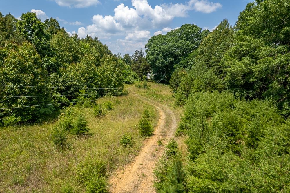 483 SPRING RD, BREMO BLUFF, Virginia 23022, ,Land,483 SPRING RD,662858 MLS # 662858