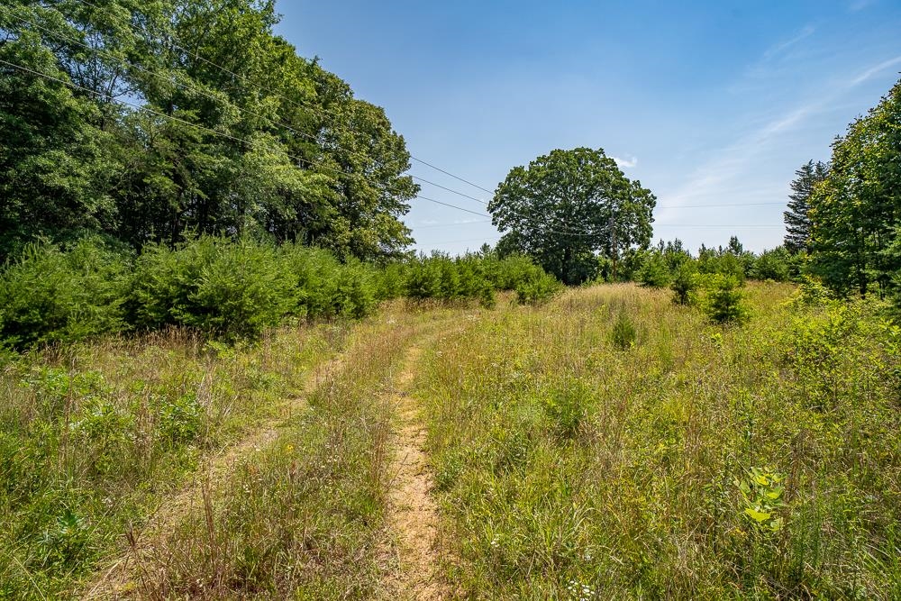 483 SPRING RD, BREMO BLUFF, Virginia 23022, ,Land,483 SPRING RD,662858 MLS # 662858