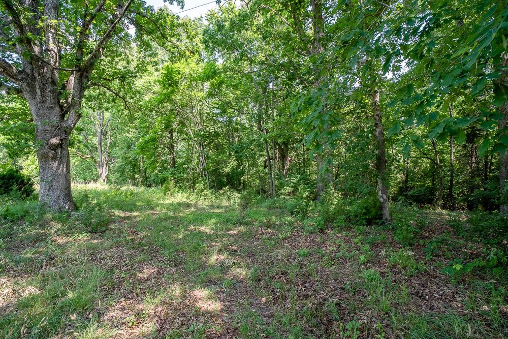 483 SPRING RD, BREMO BLUFF, Virginia 23022, ,Land,483 SPRING RD,662858 MLS # 662858