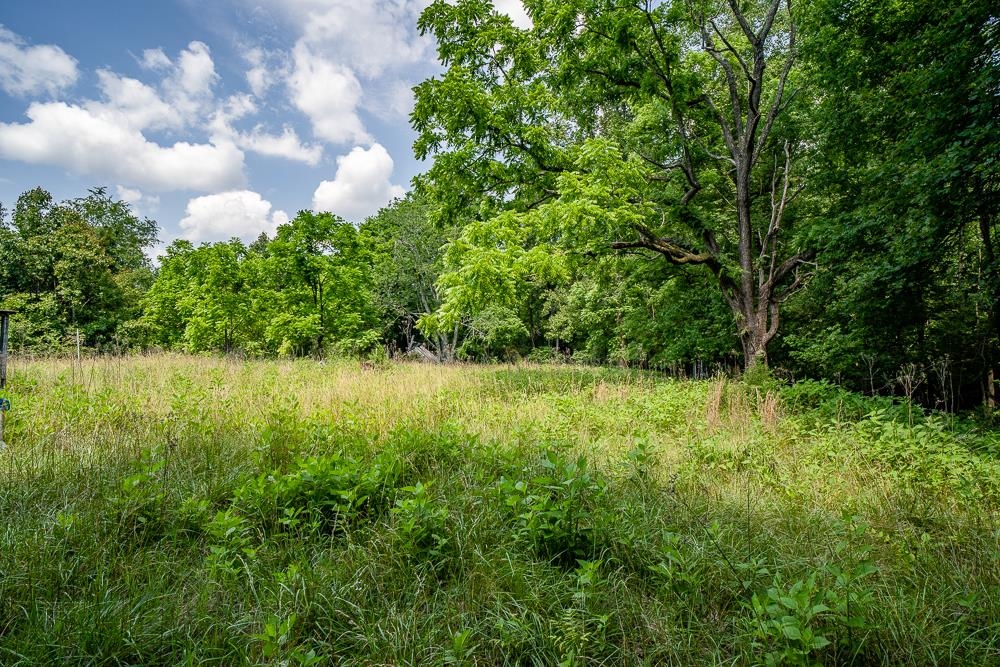 483 SPRING RD, BREMO BLUFF, Virginia 23022, ,Land,483 SPRING RD,662858 MLS # 662858