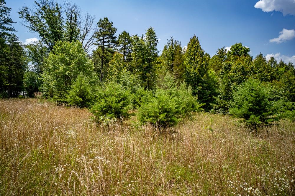 483 SPRING RD, BREMO BLUFF, Virginia 23022, ,Land,483 SPRING RD,662858 MLS # 662858