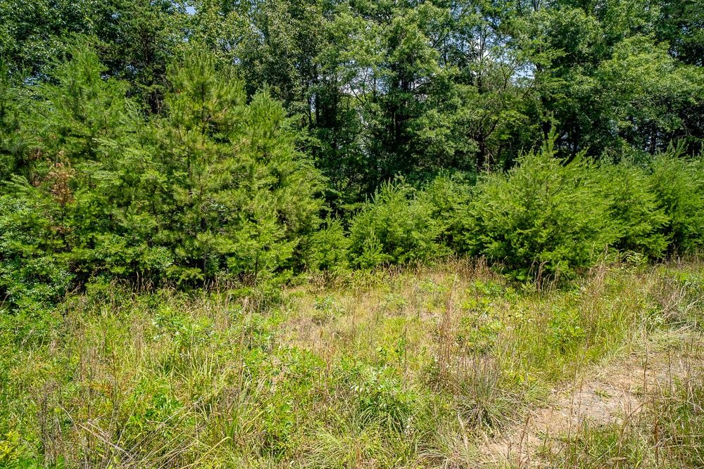 483 SPRING RD, BREMO BLUFF, Virginia 23022, ,Land,483 SPRING RD,662858 MLS # 662858