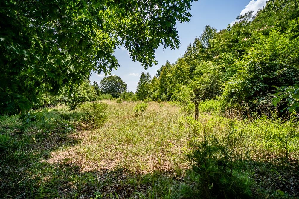 483 SPRING RD, BREMO BLUFF, Virginia 23022, ,Land,483 SPRING RD,662858 MLS # 662858
