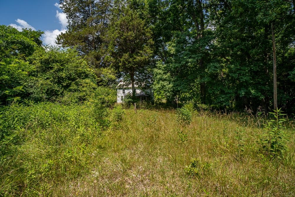 483 SPRING RD, BREMO BLUFF, Virginia 23022, ,Land,483 SPRING RD,662858 MLS # 662858