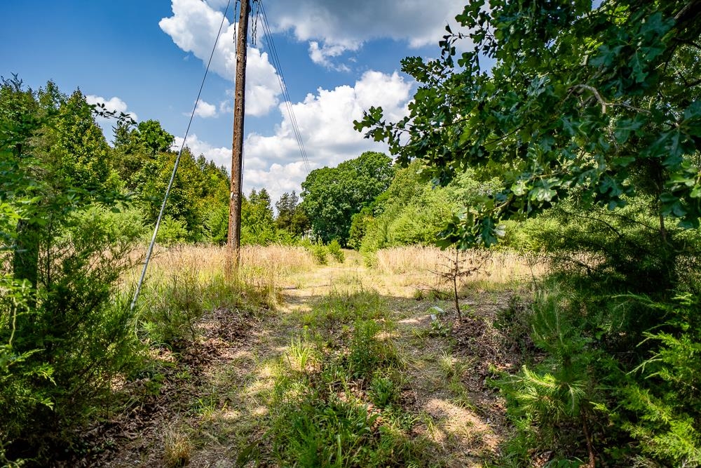 483 SPRING RD, BREMO BLUFF, Virginia 23022, ,Land,483 SPRING RD,662858 MLS # 662858