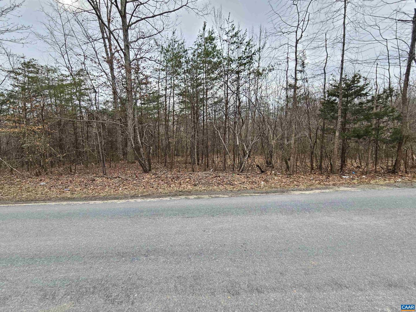 TBD EVANS MILLS RD, DILLWYN, Virginia 23936, ,Land,For sale,TBD EVANS MILLS RD,661593 MLS # 661593