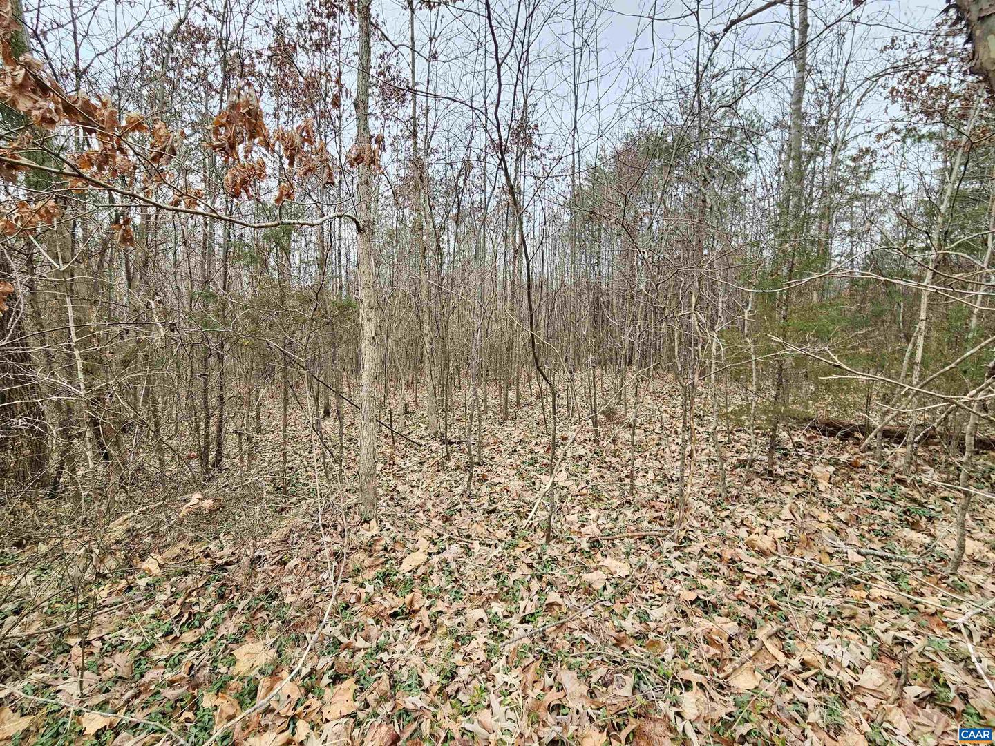 TBD EVANS MILLS RD, DILLWYN, Virginia 23936, ,Land,For sale,TBD EVANS MILLS RD,661593 MLS # 661593