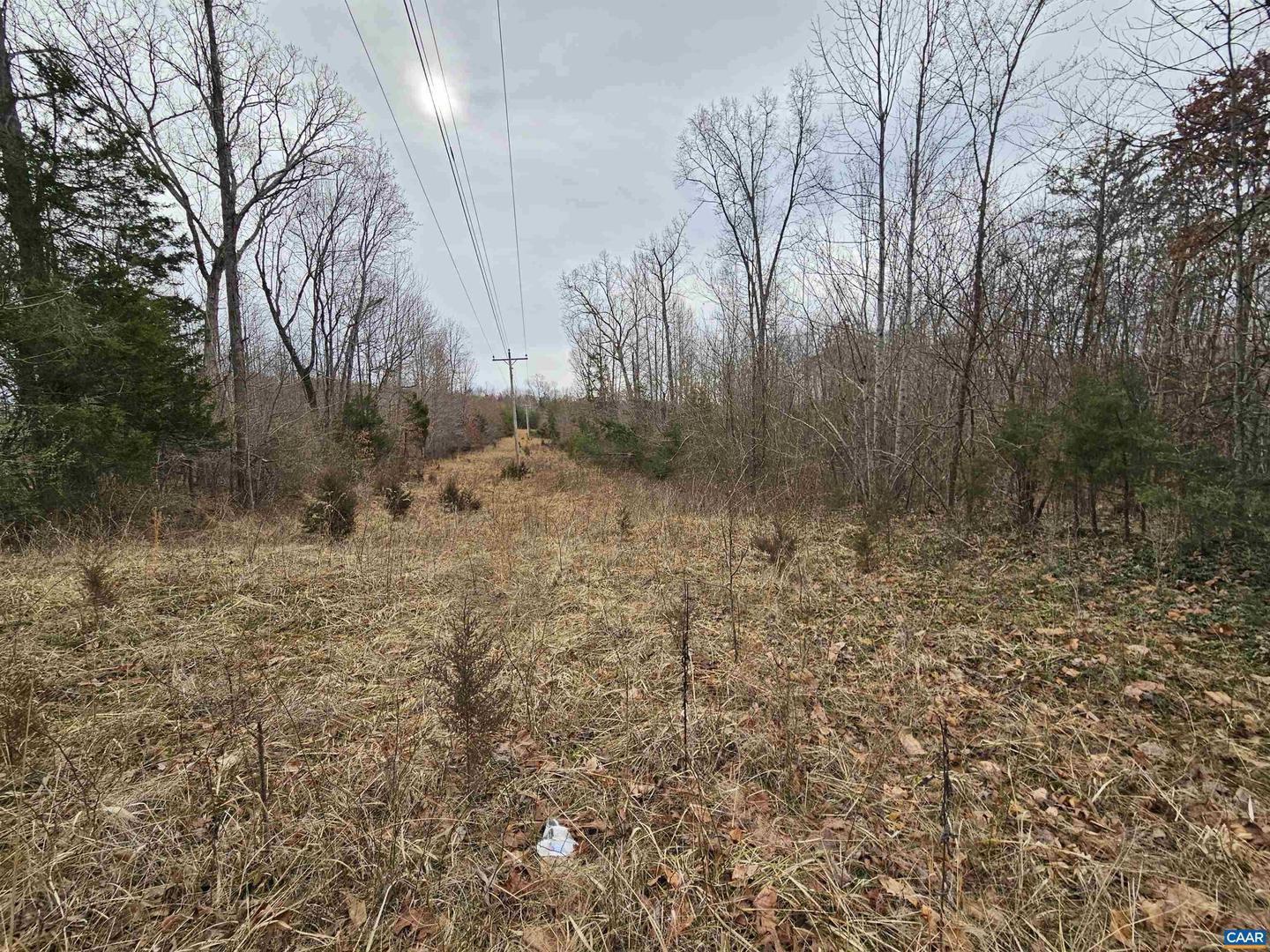 TBD EVANS MILLS RD, DILLWYN, Virginia 23936, ,Land,For sale,TBD EVANS MILLS RD,661593 MLS # 661593
