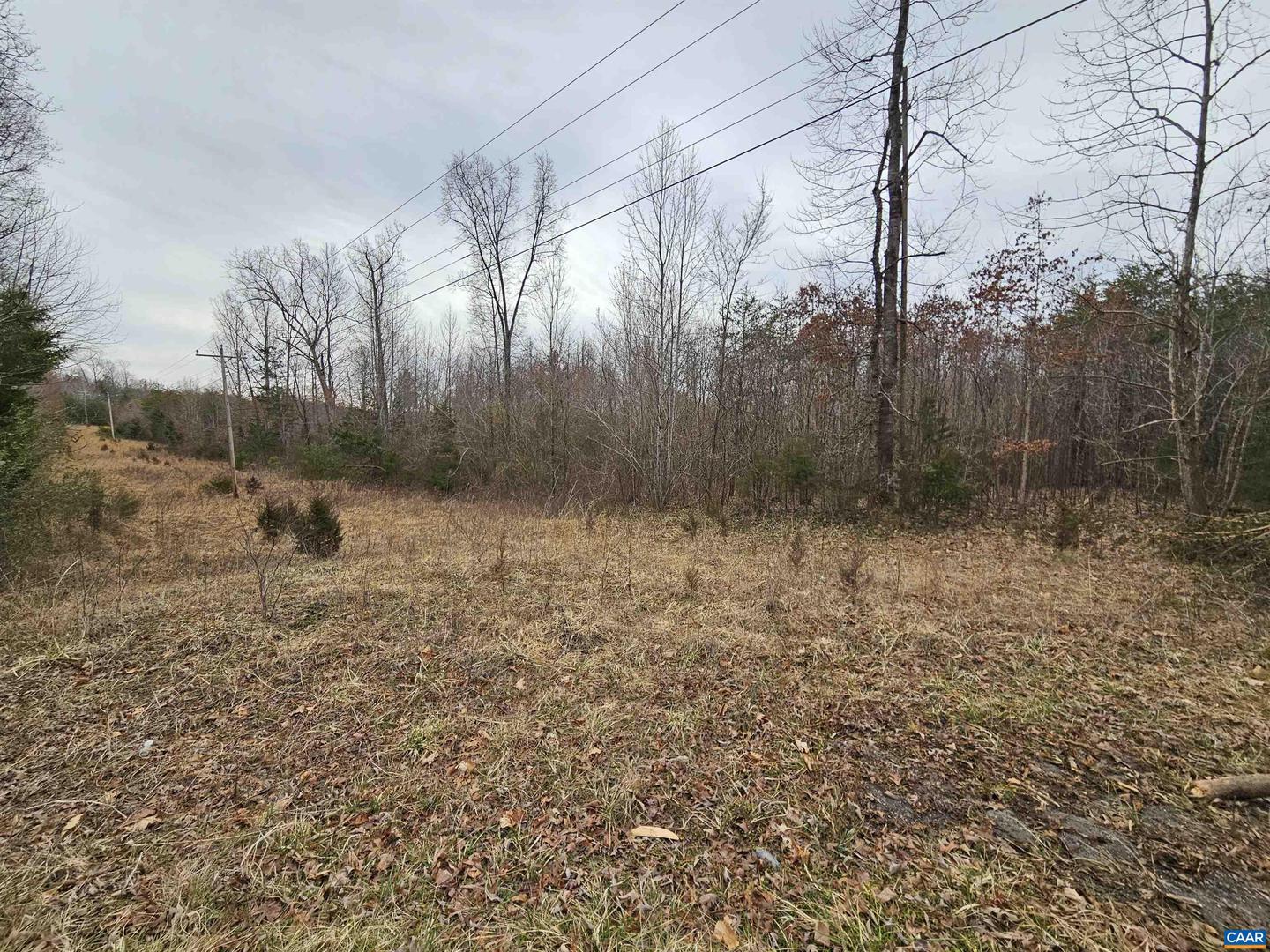TBD EVANS MILLS RD, DILLWYN, Virginia 23936, ,Land,For sale,TBD EVANS MILLS RD,661593 MLS # 661593