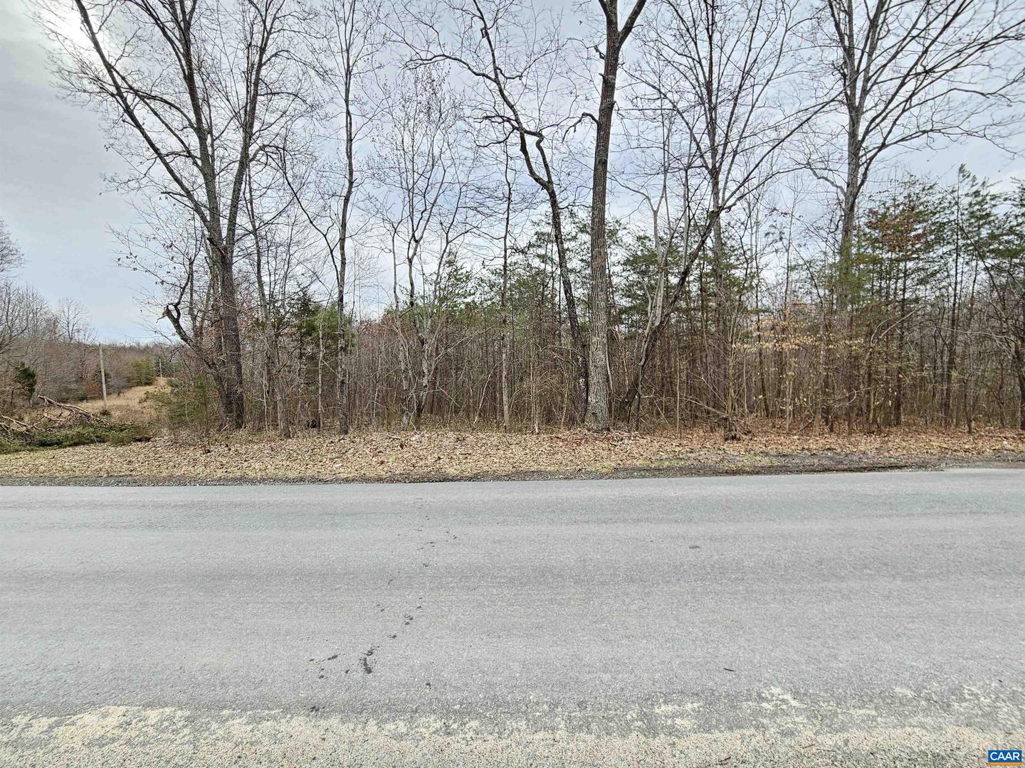 TBD EVANS MILLS RD, DILLWYN, Virginia 23936, ,Land,For sale,TBD EVANS MILLS RD,661593 MLS # 661593