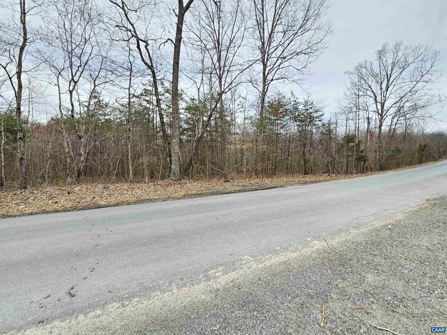TBD EVANS MILLS RD, DILLWYN, Virginia 23936, ,Land,For sale,TBD EVANS MILLS RD,661593 MLS # 661593