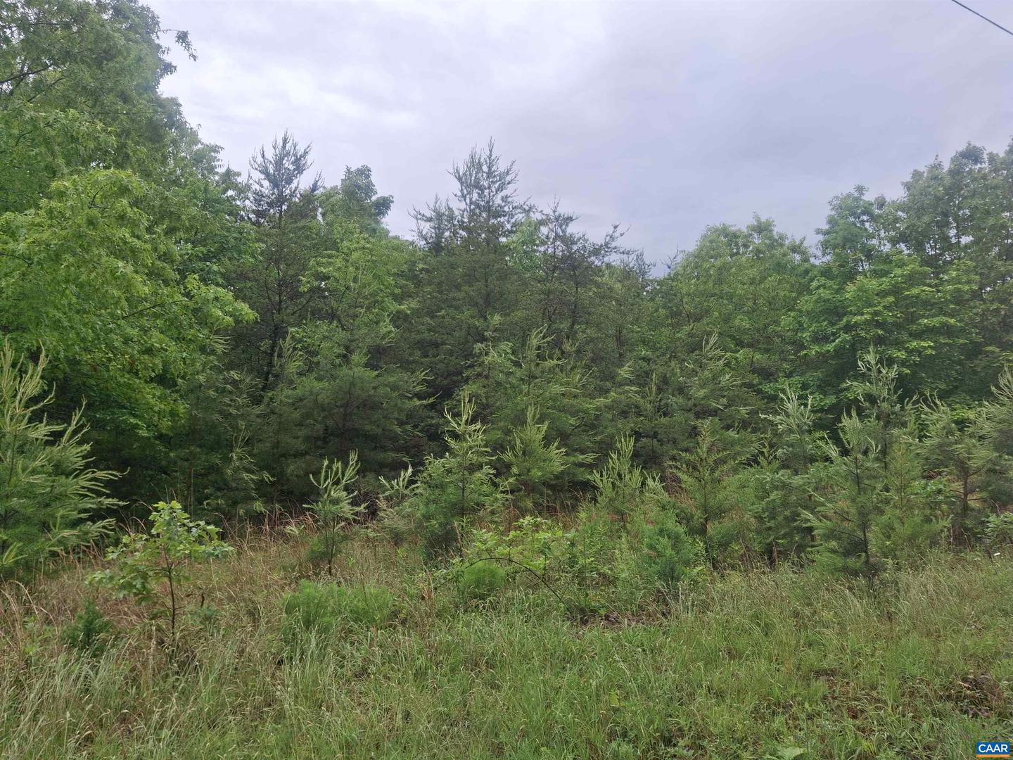 0 INDIAN PIPE RUN, PALMYRA, Virginia 22963, ,Land,For sale,0 INDIAN PIPE RUN,664440 MLS # 664440