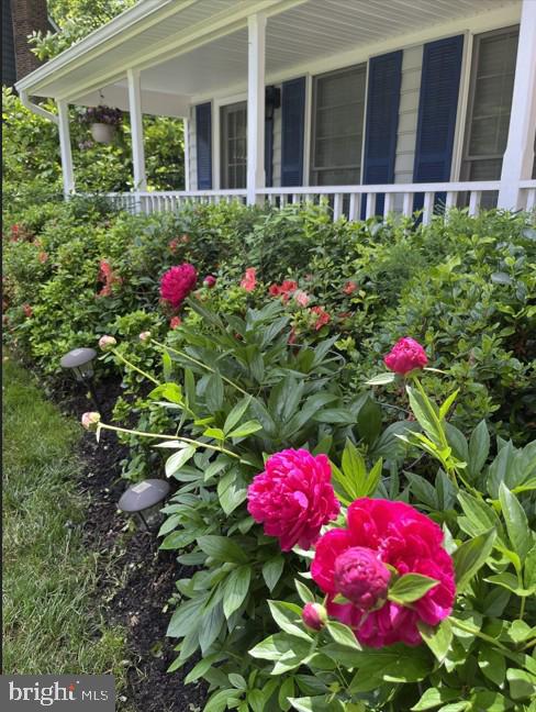 7530 ROYCE CT, ANNANDALE, Virginia 22003, 5 Bedrooms Bedrooms, ,3 BathroomsBathrooms,Residential,For sale,7530 ROYCE CT,VAFX2240308 MLS # VAFX2240308