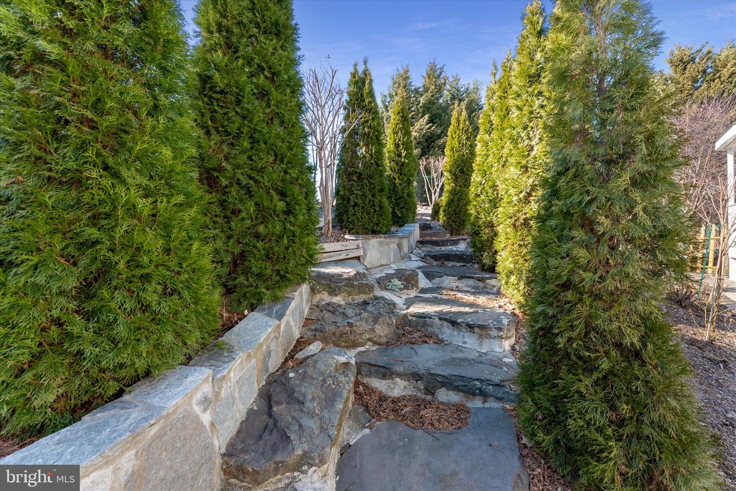 17181 BOLD VENTURE DR, LEESBURG, Virginia 20176, 6 Bedrooms Bedrooms, ,6 BathroomsBathrooms,Residential,For sale,17181 BOLD VENTURE DR,VALO2096218 MLS # VALO2096218