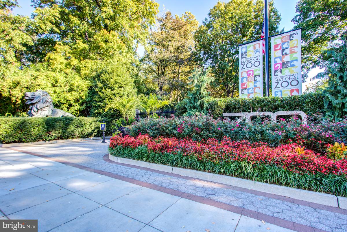 3100 CONNECTICUT AVE NW #325, WASHINGTON, District Of Columbia 20008, 1 Bedroom Bedrooms, ,1 BathroomBathrooms,Residential,For sale,3100 CONNECTICUT AVE NW #325,DCDC2200270 MLS # DCDC2200270
