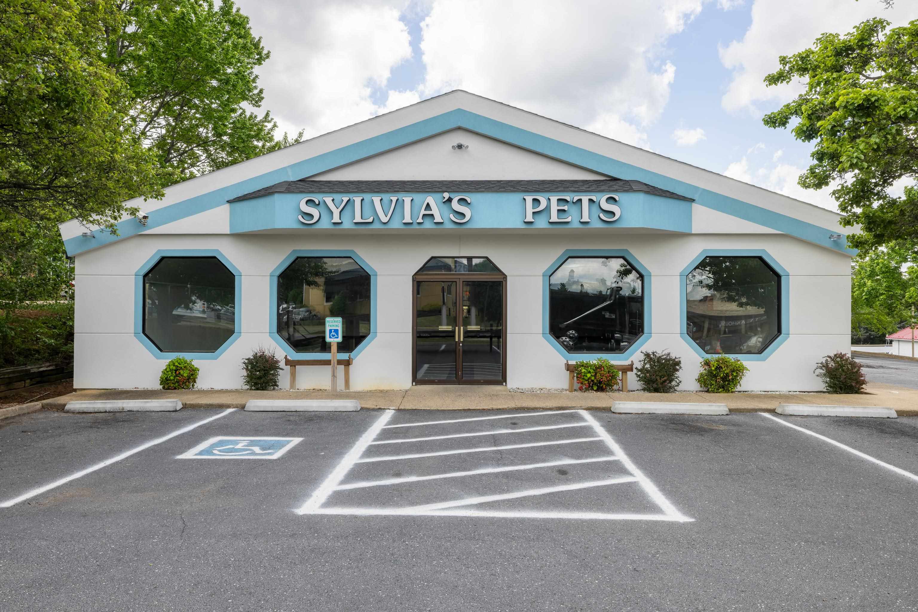 226 UNIVERSITY BLVD, HARRISONBURG, Virginia 22801, ,Commercial,226 UNIVERSITY BLVD,664455 MLS # 664455