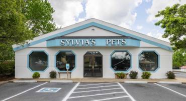 226 UNIVERSITY BLVD, HARRISONBURG, Virginia 22801, ,Commercial,226 UNIVERSITY BLVD,664455 MLS # 664455