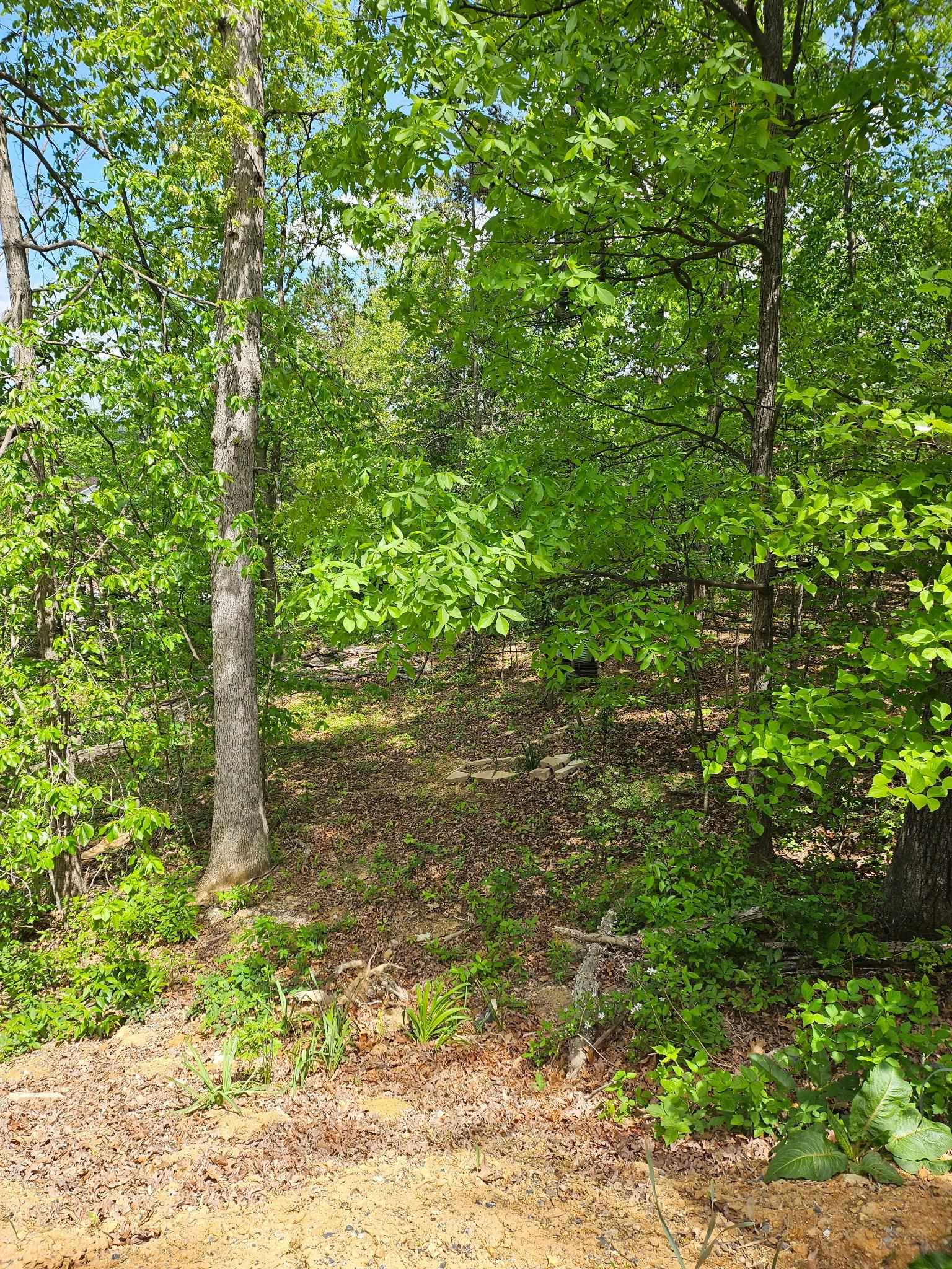 0 RIDGE VIEW LN, ELKTON, Virginia 22827, ,Farm,0 RIDGE VIEW LN,664435 MLS # 664435